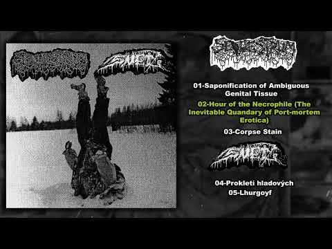 Sněť — Sequestrum/Sn​ět Split 7" (2024)