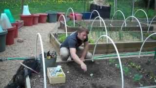 Evol Compostable Bowl