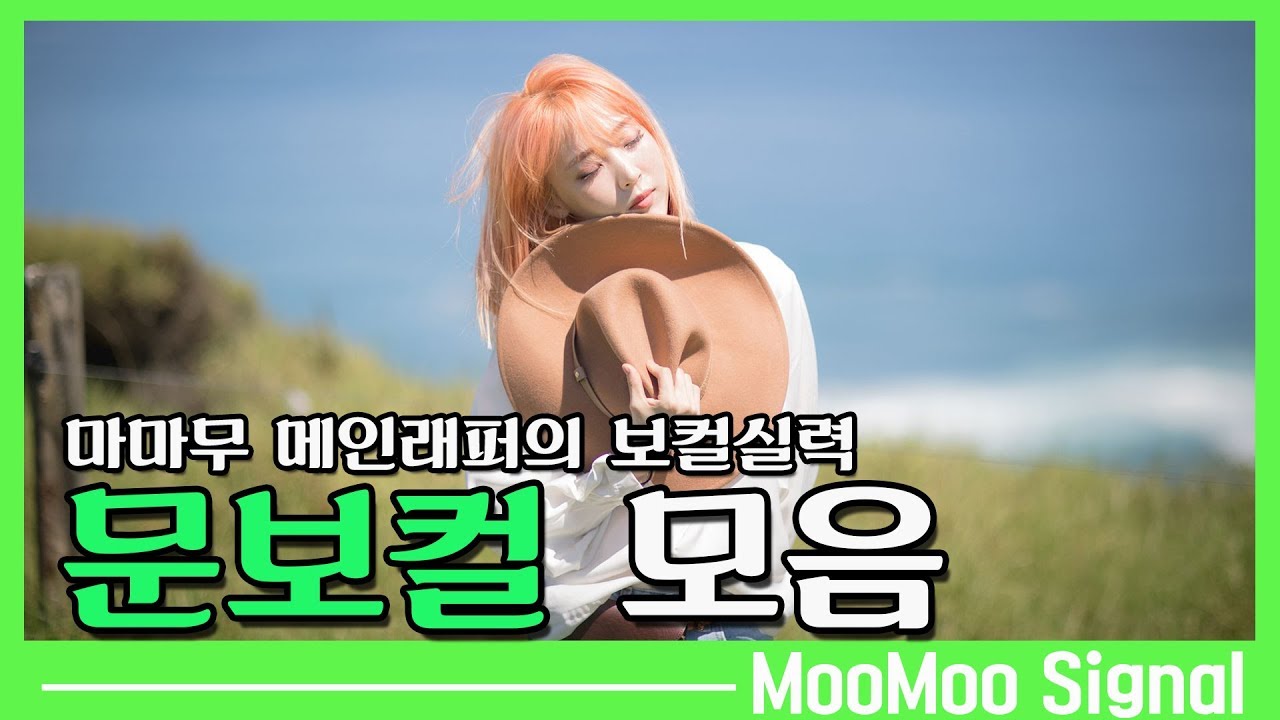 [마마무]마마무의 메인래퍼 보컬실력 문보컬 모음