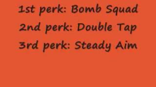Call of Duty 4 Guns and Perk Tips