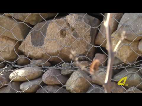 „გადაჭრილი გორა“  კულტურული მემკვიდრეობის ძეგლი მარნეულში რომლის შესახებაც მსოფლიოა ინფორმირებული