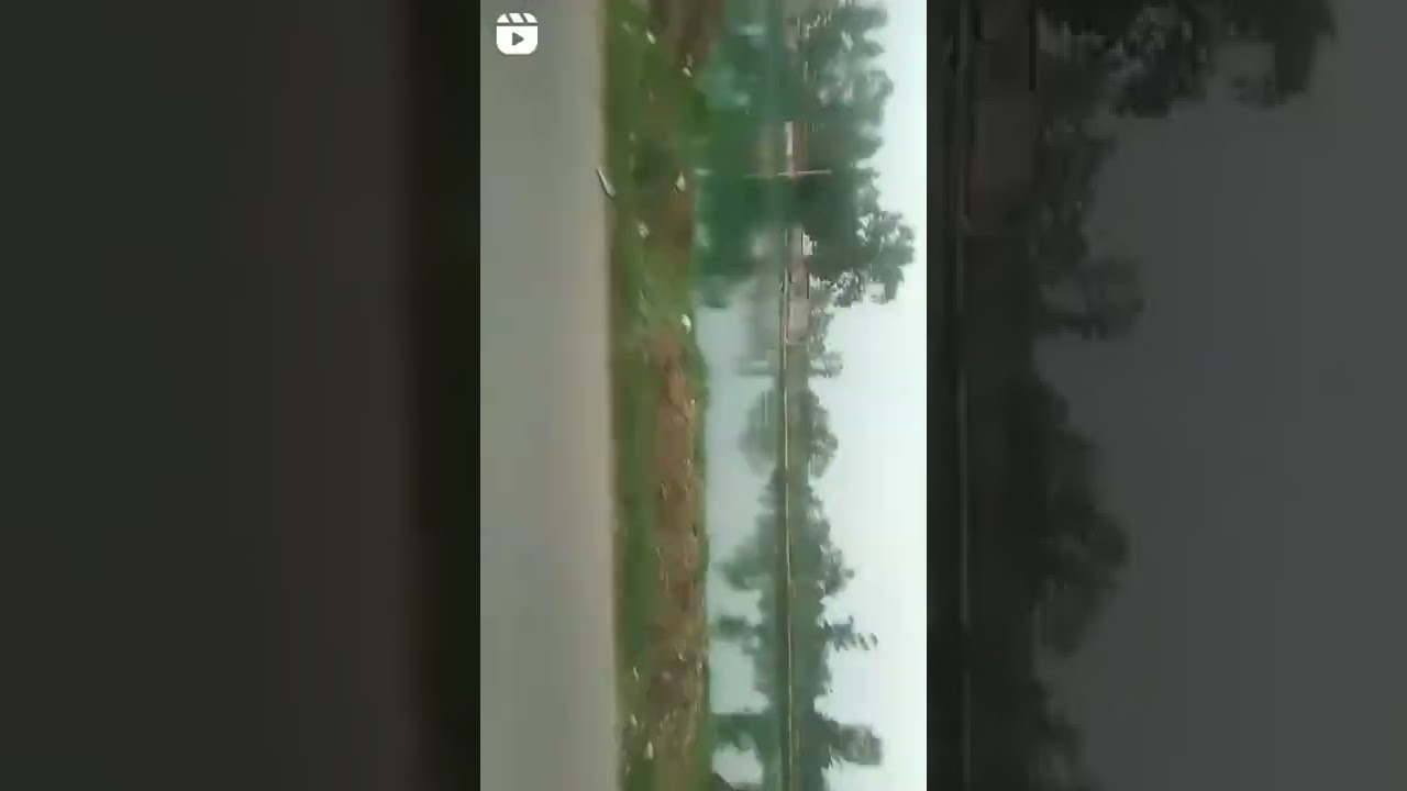 insageram reel 2021(3)