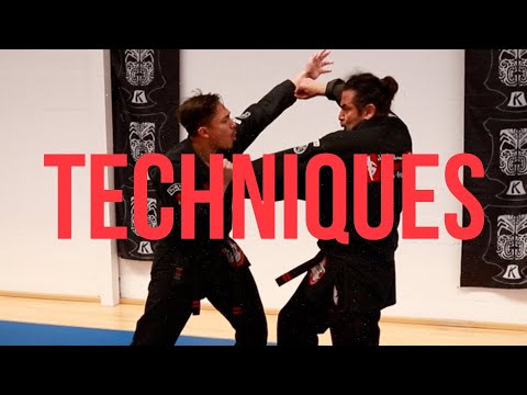 Les techniques en kenpo 5.0 (clutching feathers et five swords) - YouTube