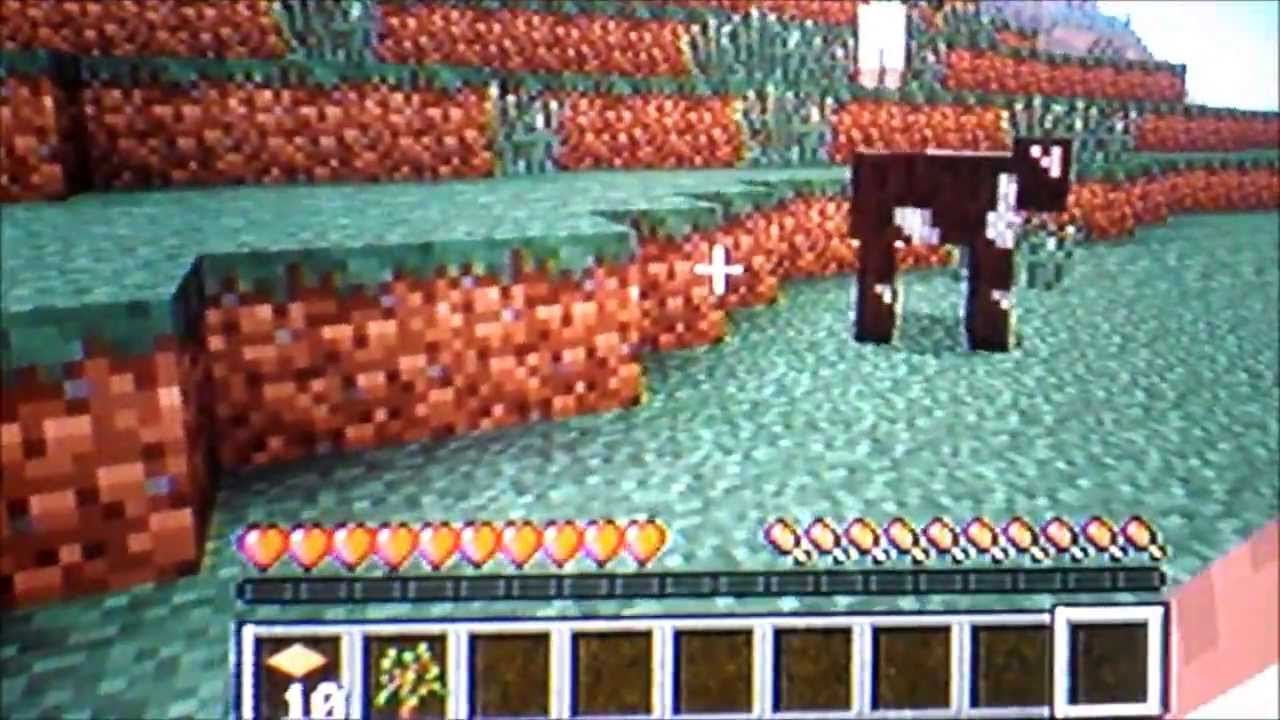 Nick's minecraft gameplay - building a house!