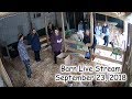 Barn Live Stream