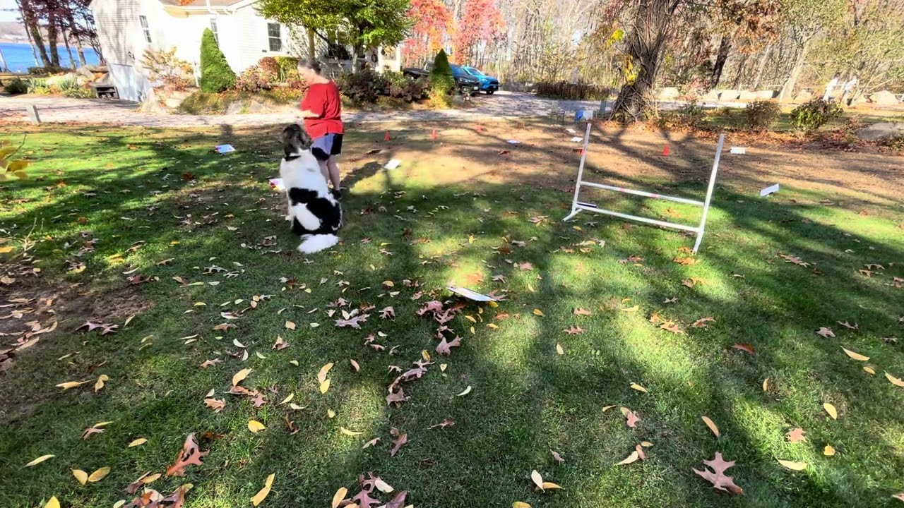 Fogleman  Rally Advanced 4