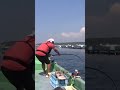 【真っ向勝負】石鯛竿、モンスターに伸される #Shorts