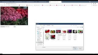 ASP.Net Controls ImageMap, Panel, Multiview, Table