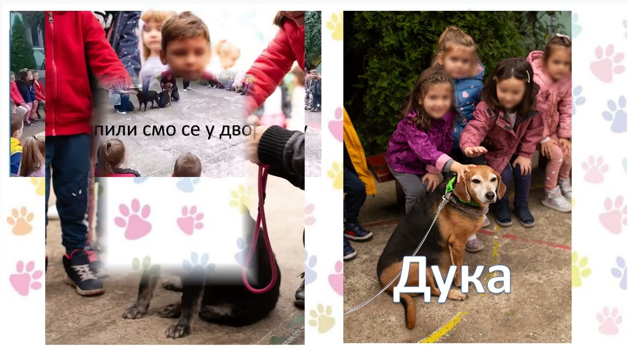 Dete i Pas kompletan rad sa muzikom