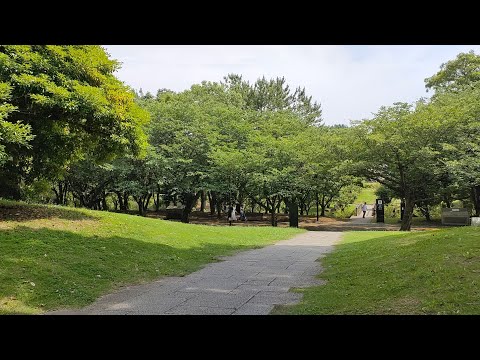 りんぐの今日の葛西臨海公園の大人気！バーベキュー広場のでバーベキューとあじさいと西なぎさビーチ🏖 潮干狩りするファミリーでいっぱい【2023.6.24】