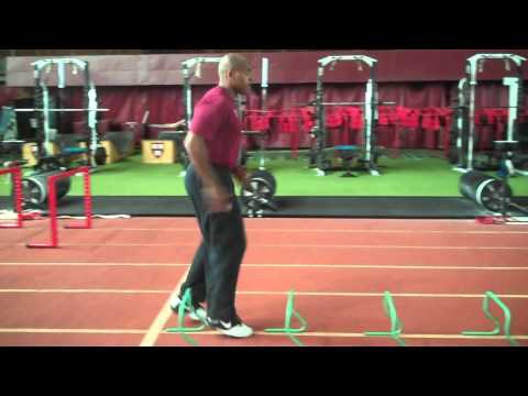 Mini Hurdle fast leg