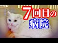 急遽､病院へ