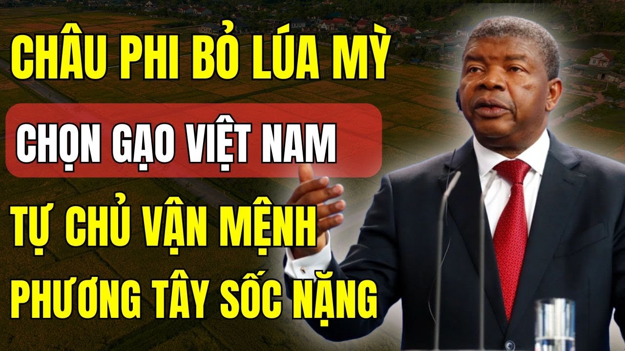 Sốc: Châu Phi Từ Bỏ Lúa Mì, Chọn Gạo Việt Nam – Phương Tây Cay Đắng?