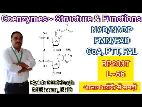 वीडियो: क्या एडीनोसिन डाइफॉस्फेट एक कोएंजाइम है?