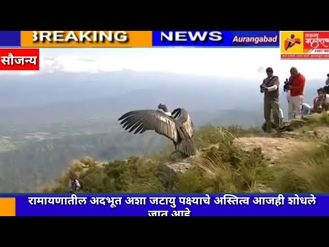 रामायणातील जटायु पक्ष्याचा  घेतला शोध निघाले दक्षिण अमेरिकेतील गिधाड  पहा  देशभरात प्रचंड व्हायरल झा