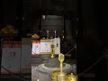 若有國土衆生。應以〇〇身得度者。観世音菩薩。即現〇〇身而爲説法。《YouTubeが自動作成》LIVEハイライト◇YouTubeさん作ってくれてありがとう🙇せっかくなので公開致します #shorts