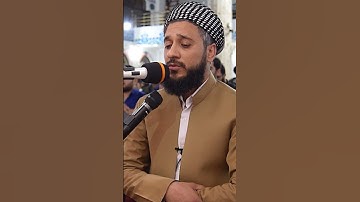 تلاوة حزينة لما تيسر من سورة الزخرف للقارئ مصطفى فاروق الكردي