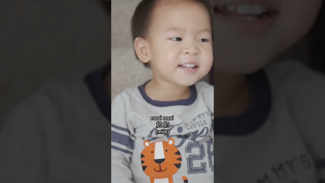 Who Says A 2 Year Old Can T Teach You Chinese Milestones