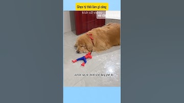 Ghẹo tý thôi làm gì căng #funny