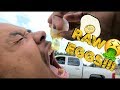 EGG YOLK CHALLENGE! (EXTREMLY FUNNY &amp; NASTY!!)