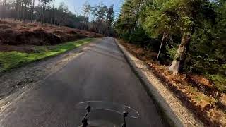 POV styleTo the Woods We Went POV Ride 🌲🏍️