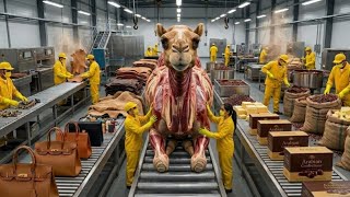 Inside the $50,000 Camel Hide &amp; Milk Factory: How Luxury Leather &amp; Gourmet Products are Made
