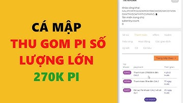 pi network cá mập thu gom pi số lượng lớn- achi kiếm tiền online