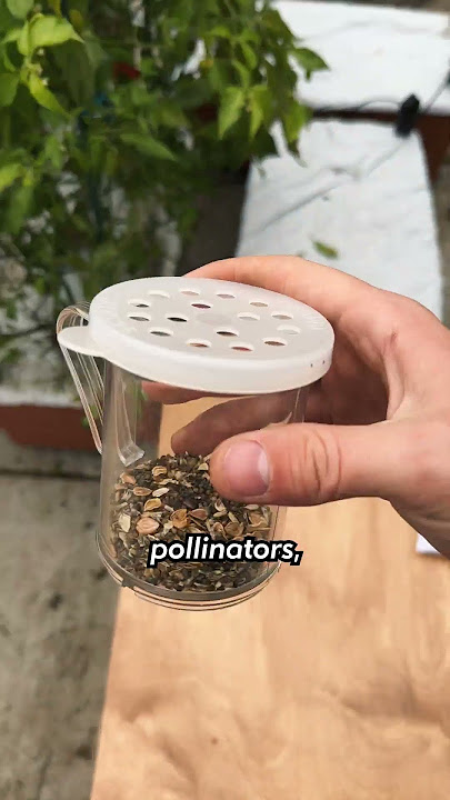 Let's Sow Some Wildflower Seeds - Rain Is Coming #wildflowers #pollinatorgarden