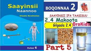 Saayinsii naannoo kutaa 6ffaa Boqonnaa 2 part 5