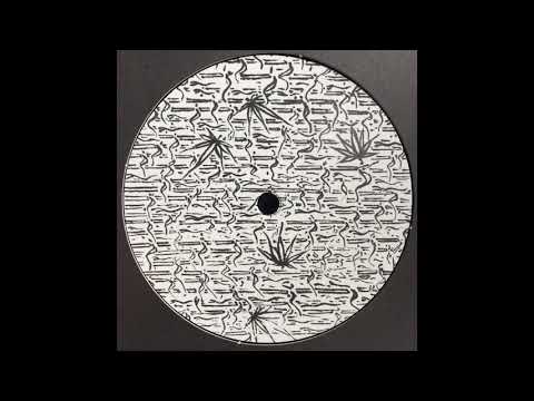 Gaia Tones — Gaia Tones (GT001) B Yang: Wonkadonk