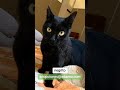 Negrito