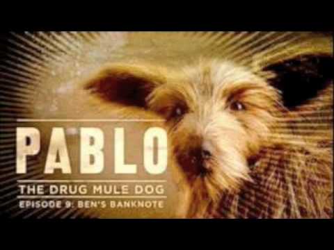 Cocaine Addiction (Pablo Drugs Mule pt 2)