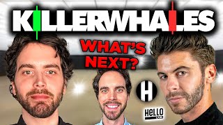 Whats Next For Killer Whales? Hello Labs Crypto Token Big News