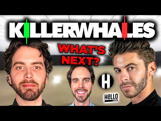 What's Next For Killer Whales? Hello Labs Crypto Token BIG NEWS! class=