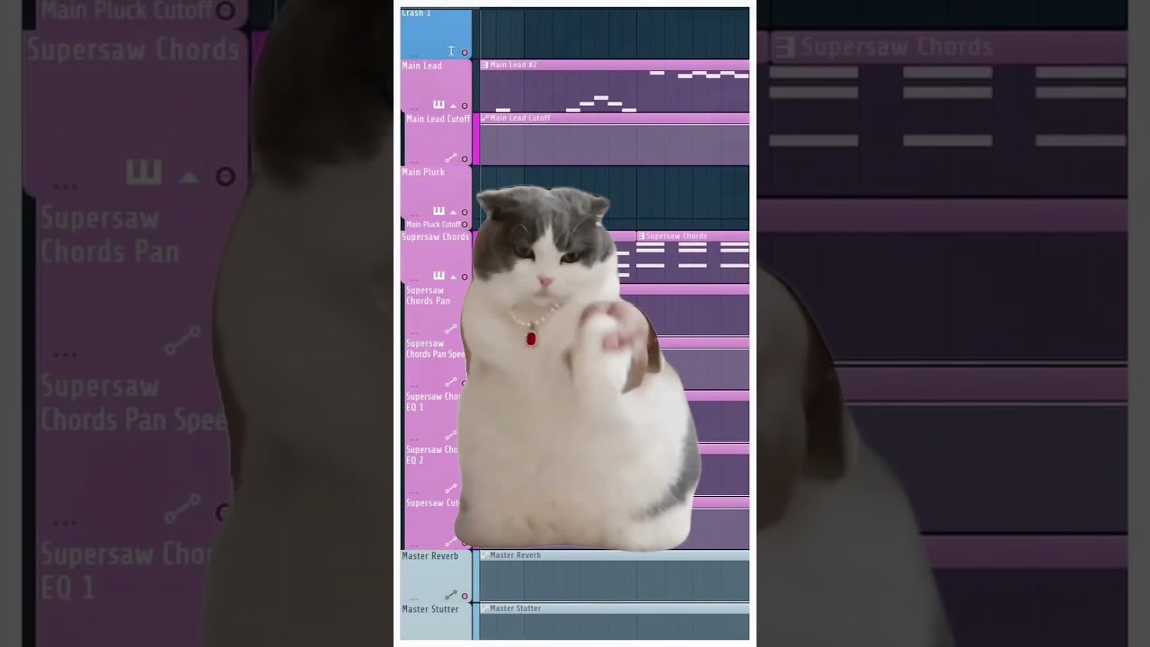 Silly cat dancing to cute music 