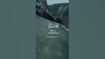 تلاوة خاشعة تريح القلب🎧❤ #تلاوة_خاشعة #القرآن_الكريم #تلاوة