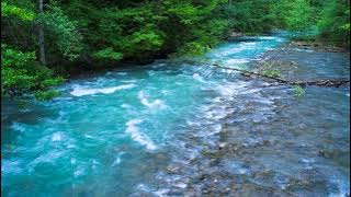 Calming Sound of Turquoise Mountain River. Nature Sounds, Flowing Water, White Noise for Sleeping.