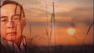 Air Mata Di Ujung Luka