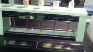 CSI Experience MGM Grand