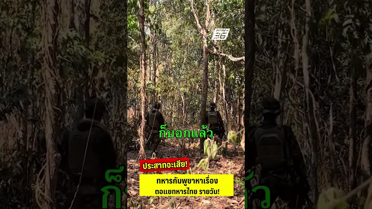 ประสาทจะเสีย! กัมพูชาหาเรื่องตอแยทหารไทย รายวัน! | PPTV News | 19 ก.พ. 69