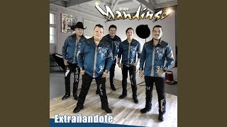 Extrañandote - Mandingo