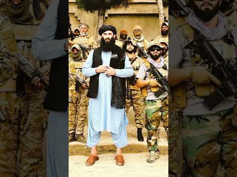 Video: Afganistanski pacov - činjenica ili fikcija?