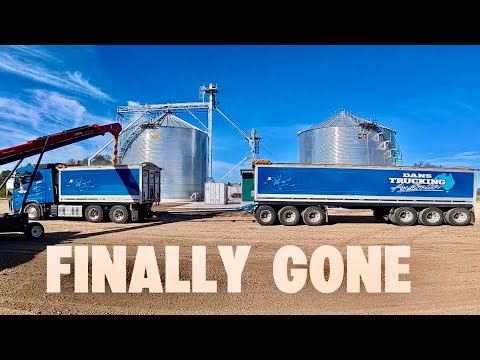 Our Rejected Corn Finally Leaves the Farm