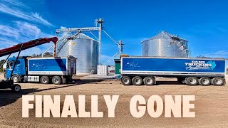 Our Rejected Corn Finally Leaves the Farm