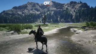 Home on The Range, Where the Deer and the Antelope Play!         #RDR2 #LLG screenshot 4