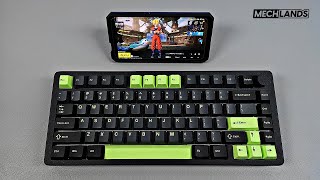 (Unboxing) MechLands Blade75 Keyboard ASMR 📦🌿 | PUBG MOBILE PC 240 FPS Gameplay