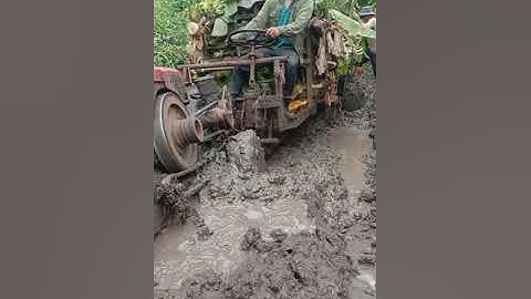 xe công nông cẩu đấy chở chuối mắc lầy lùn cai kết không ngờ