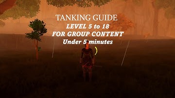 PANTHEON - QUICK TANKING GUIDE FOR GROUP CONTENT - LEVEL 5 to 18 - WARRIORS & PALADINS