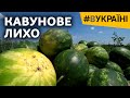 Кавунове лихо | #ВУКРАЇНІ