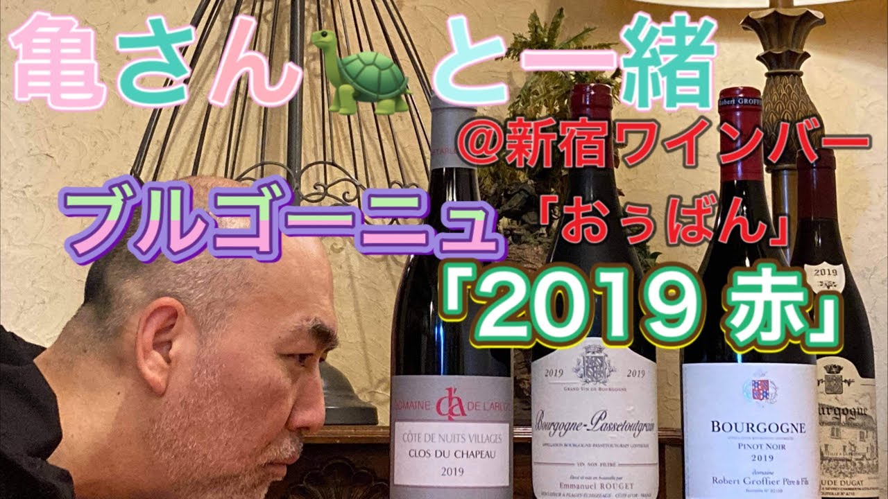 亀さんと一緒「ブルゴーニュ 2019 赤」